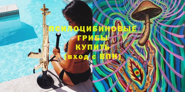 бошки Верея