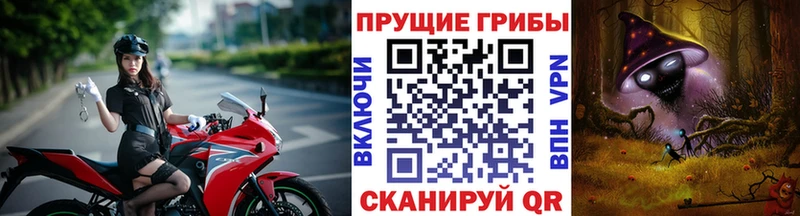 Псилоцибиновые грибы Magic Shrooms  наркошоп  Бийск 